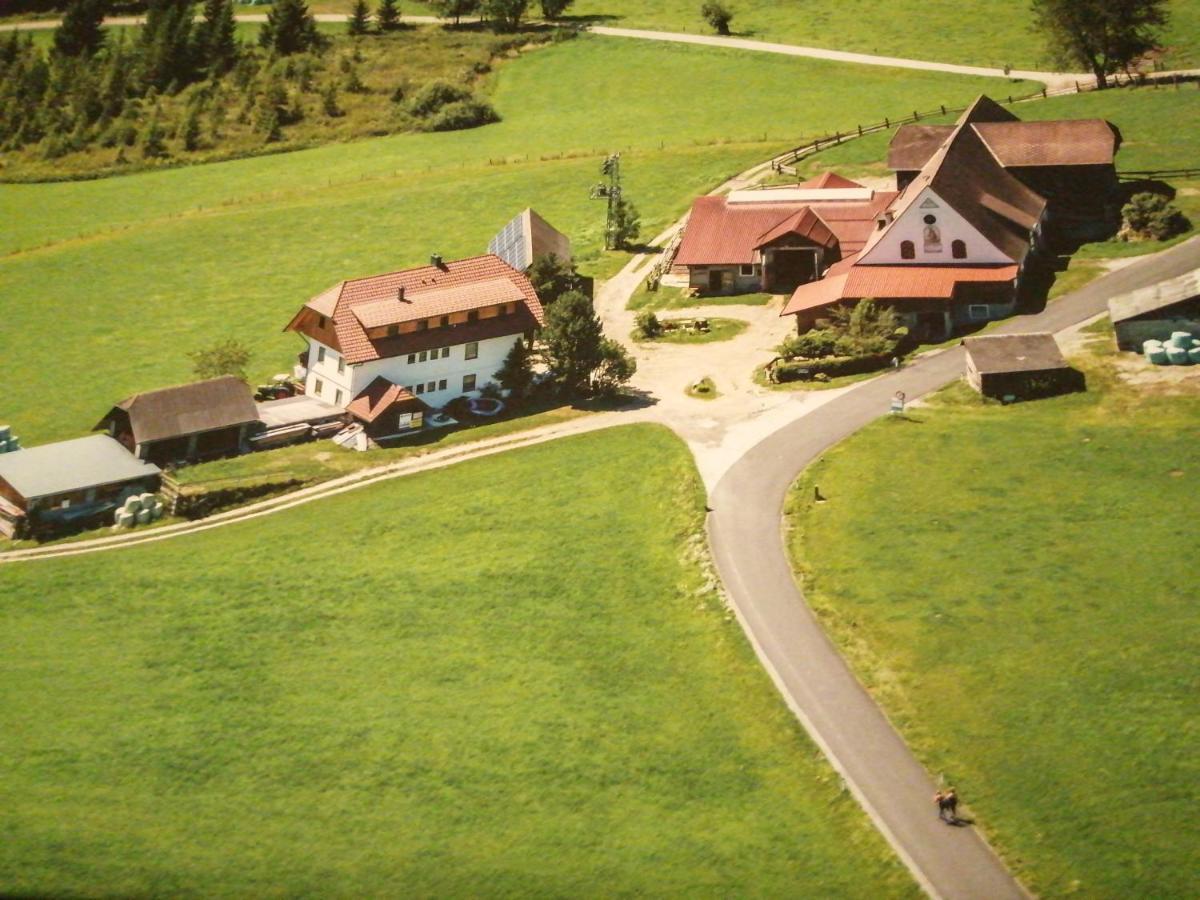 Erholung Am Bauernhof Bei Familie Seidl / Messner Villa Zeutschach Kültér fotó