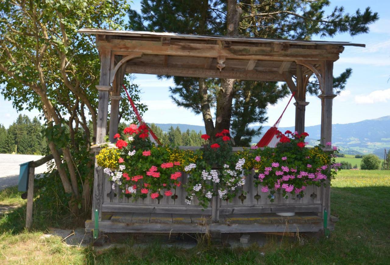 Erholung Am Bauernhof Bei Familie Seidl / Messner Villa Zeutschach Kültér fotó